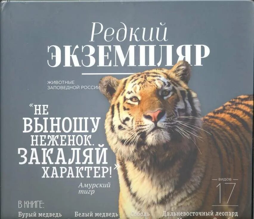 редкие экземпляры книг. 1285 экземпляров книг. редкие экземпляры книг. редкие книги. редкий экземпляр книги.