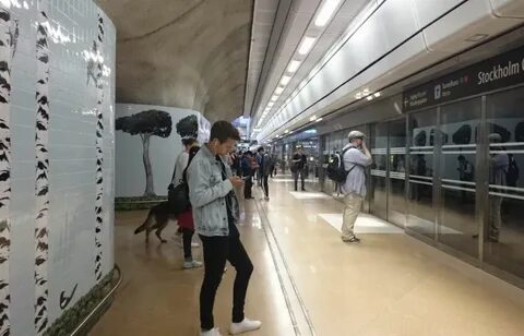 T me metro targs