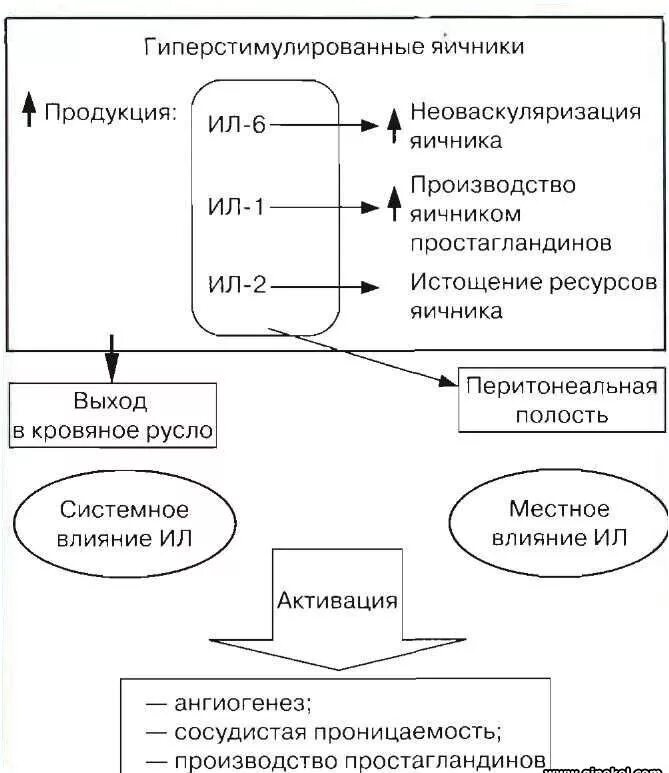 Гиперстимуляция яичников после. Синдром гиперстимуляции яичников патогенез. Синдром гиперстимуляции яичников этиология. Синдром гиперстимуляции яичников (СГЯ). Симптомы гиперстимуляции яичников при эко.