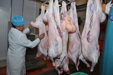 Орыс кончают сперму ауызға құсқанша