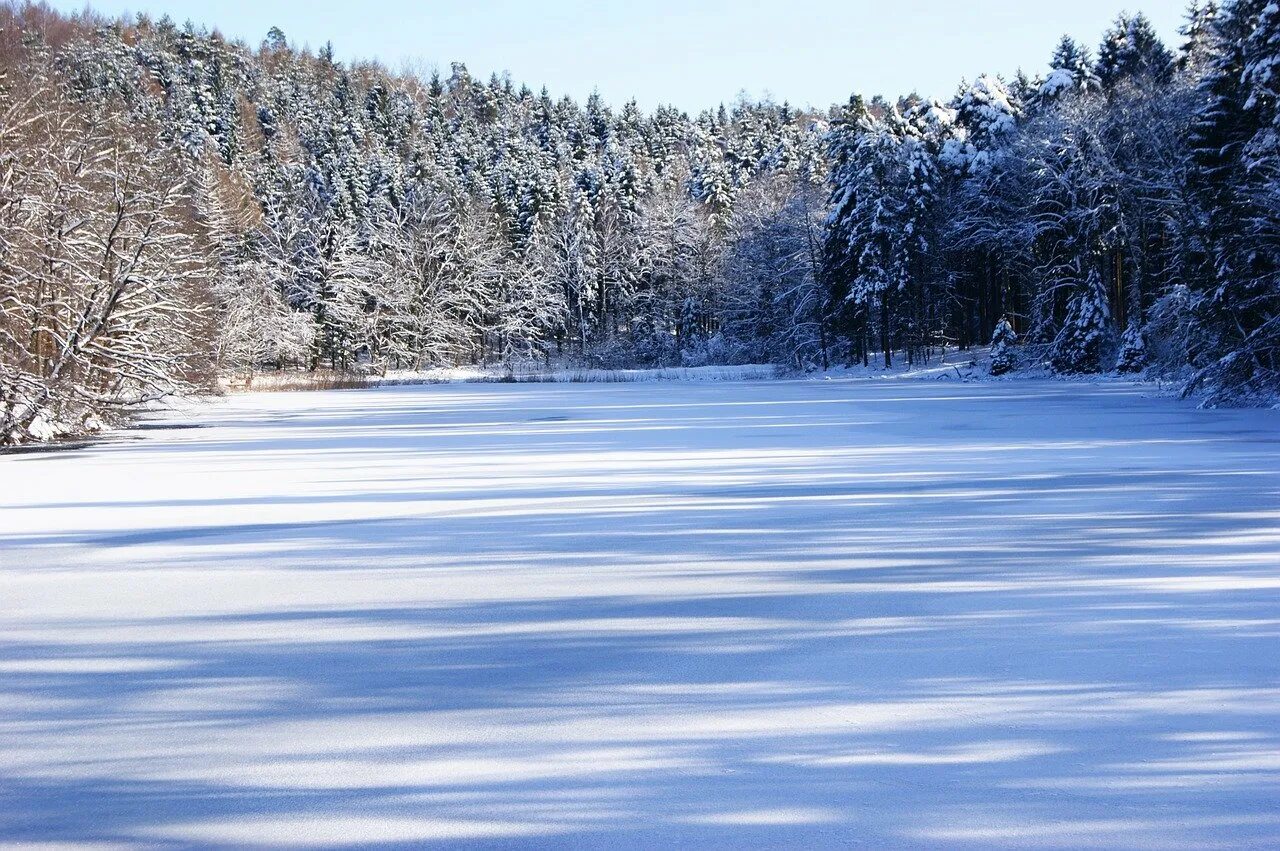 Берег озера зимой. Зимнее озеро. Замерзшее озеро. Зимнее озеро в лесу. Озеро зимой.