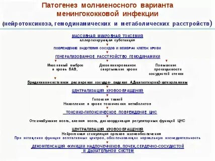 Ответы на нмо менингококковая инфекция