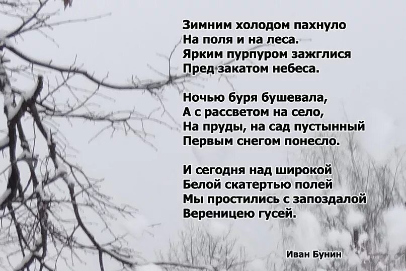 Стихотворение бунина первый снег текст. Стих Ивана Бунина 1 снег. Первый снег стих. Бунин первый снег стих.