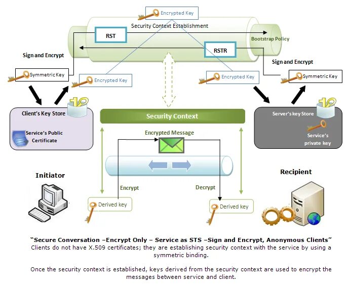 Establishing secure connection. Wso2 API Manager архитектура. Wso2 Micro-Integrator. Encrypted сборка. Разработчик wso2.