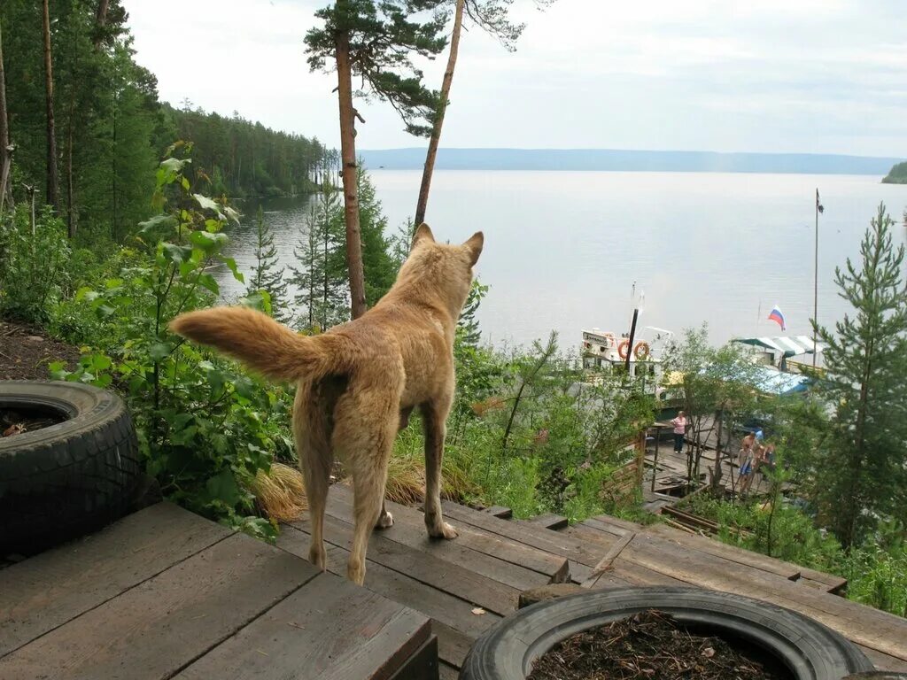 База отдыха Лесная Усть-Илимск.