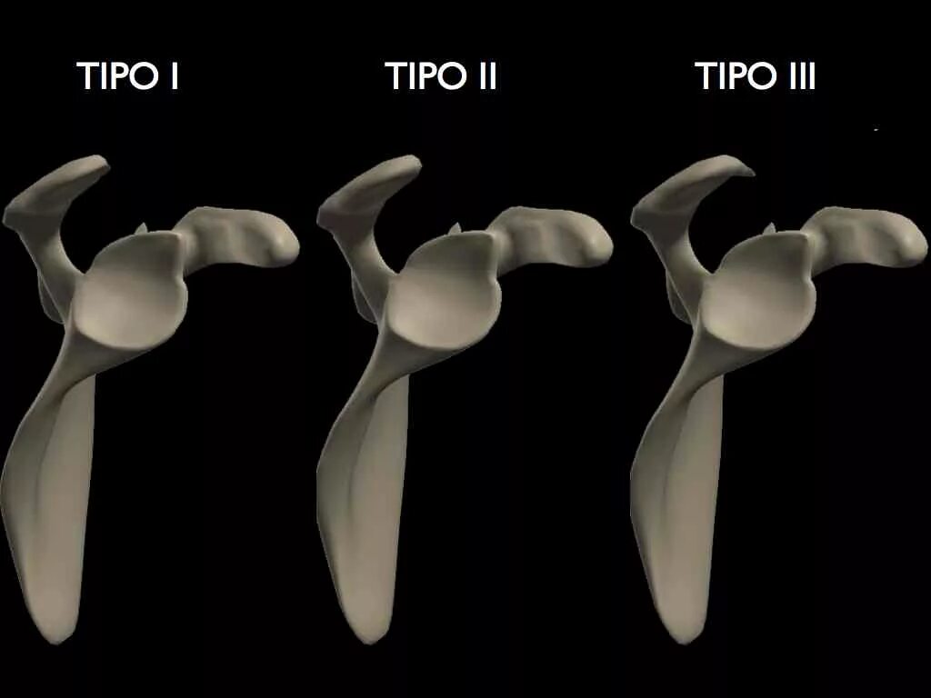Конкор кор 2. Гидросамолет кор-2 бе-4. Гидросамолет кор-1 бе-2. Кор 2 тип. Крейсер каганович тоф.