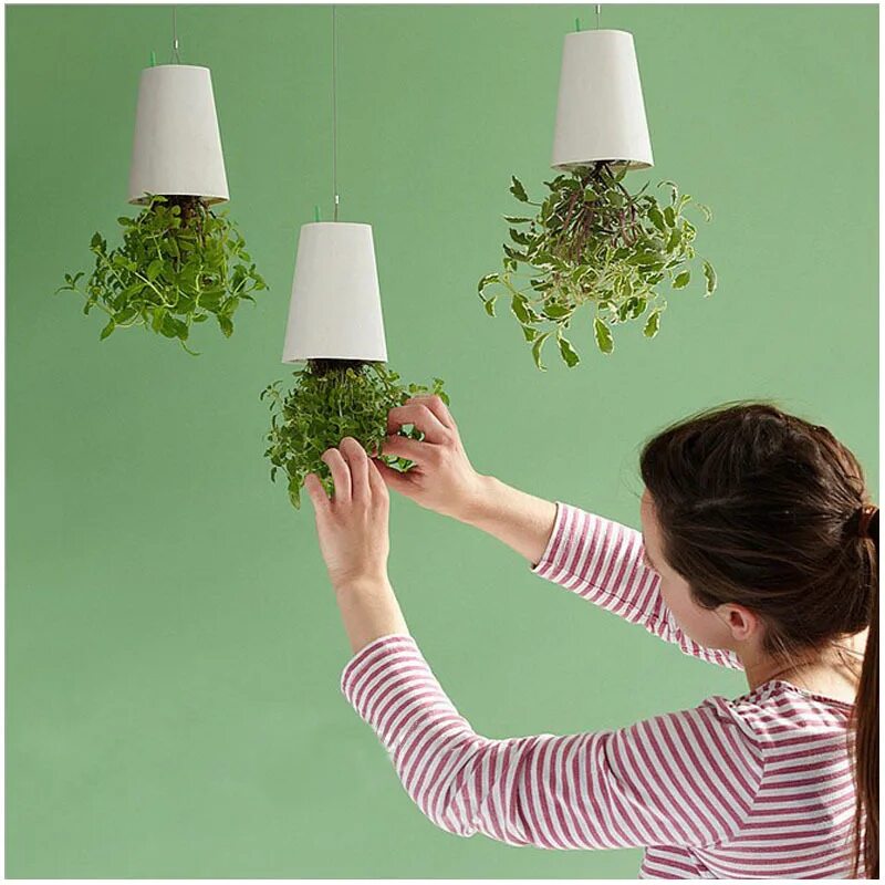 Цветы подвешенные к потолку. Необычные кашпо. Подвешенные цветы. Растения свисающие с потолка. Цветы вид снизу.