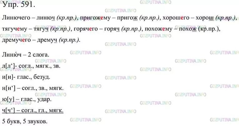 Русский язык 5 класс 2 часть упражнение 591. Русский язык 5 класс ладыженская упражнение 591.