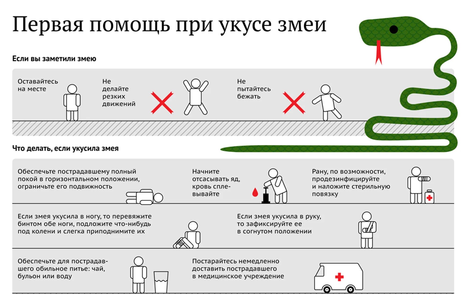 1 помощь при укусе змей. Меры первой помощи при укусе ядовитой змеи:. оказание первой помощи при укусах змей. оказание первой медицинской помощи при укусе змеи. какую первую помощь необходимо оказать при укусе змеи?.