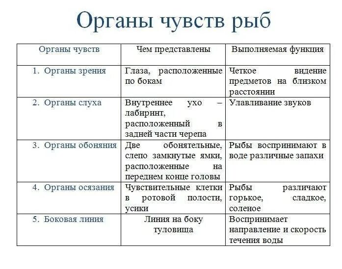 Какому классу относятся представленные в таблице рыбы. Характеристика органов чувств у рыб. органы чувств у рыб характеристика и значение. органы чувств рыбы таблица 7 класс биология. органы чувств рыб кратко.