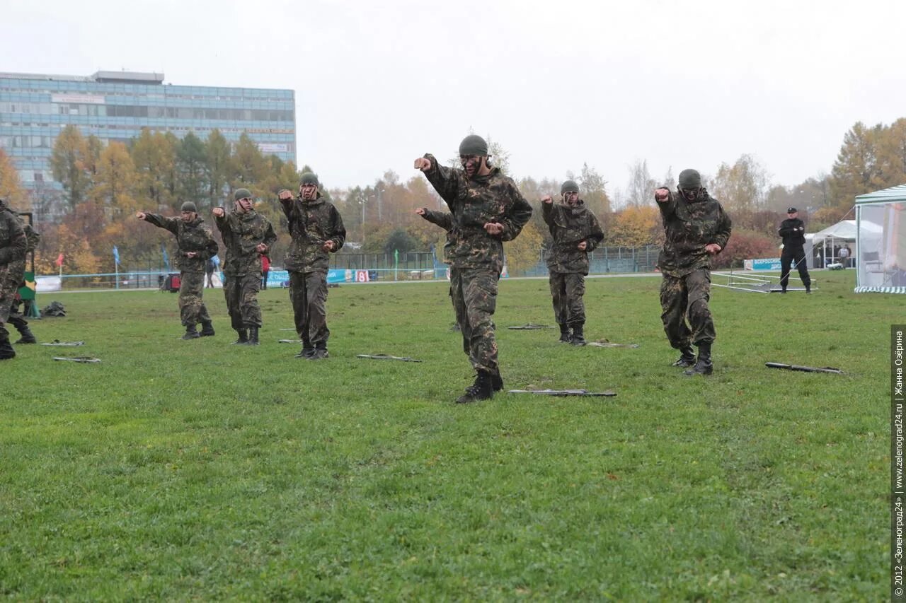 Военно прикладной спорт. Внутришкольные соревнования по военно-прикладным видам спорта. Воинская деятельность фото. Виды воинской деятельности фото. Деятельность боевой организации