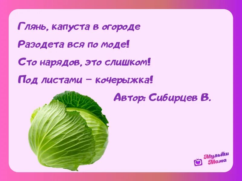 Стих про капусту для детей короткие. Детские стихи про капусту. Стих про капусту для детей. Детские стишки про капусту.