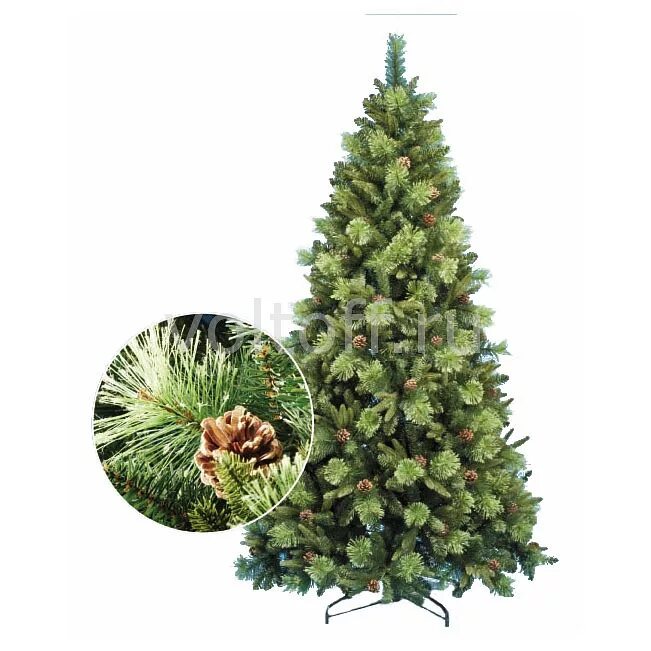 Царь елка ель диамант, 185 см. 55. 85 м. 83. Царь елка 185.