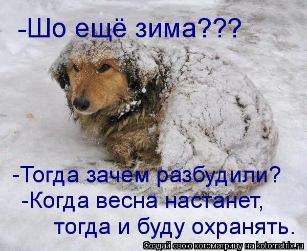 И тогда настанут холода и тогда