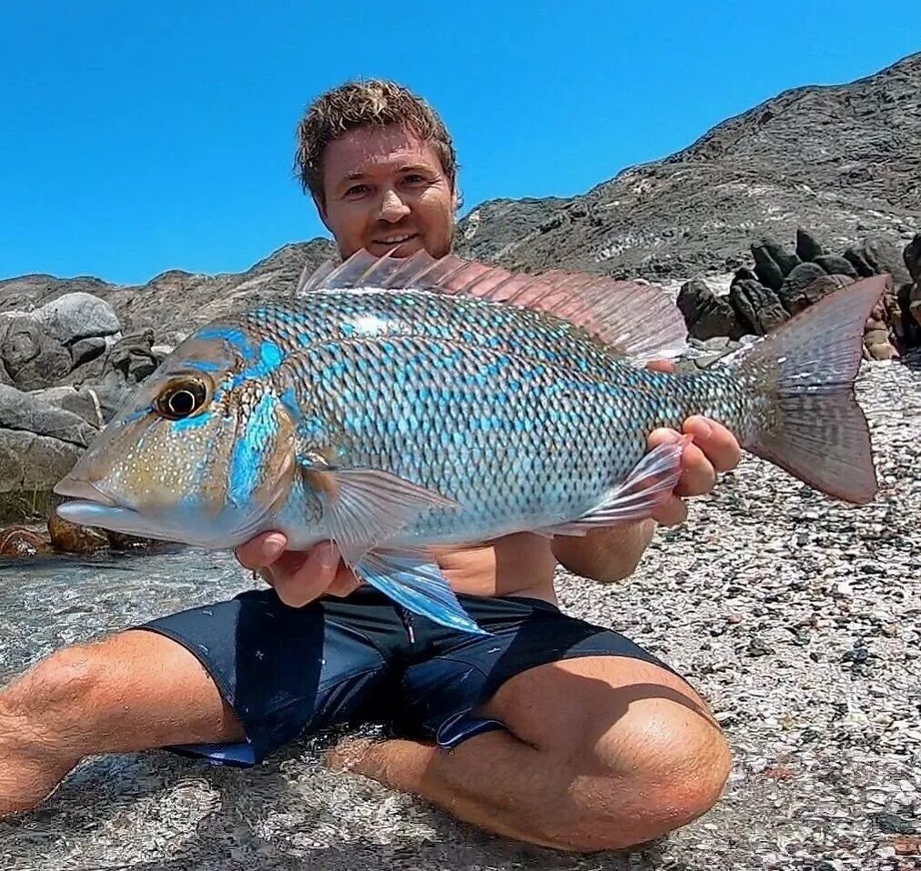 Дом овца новая зеландия. Самые удивительные люди в мире. Хавьер сеносиан архитектор. Топ самых странных. Топ самых странных.