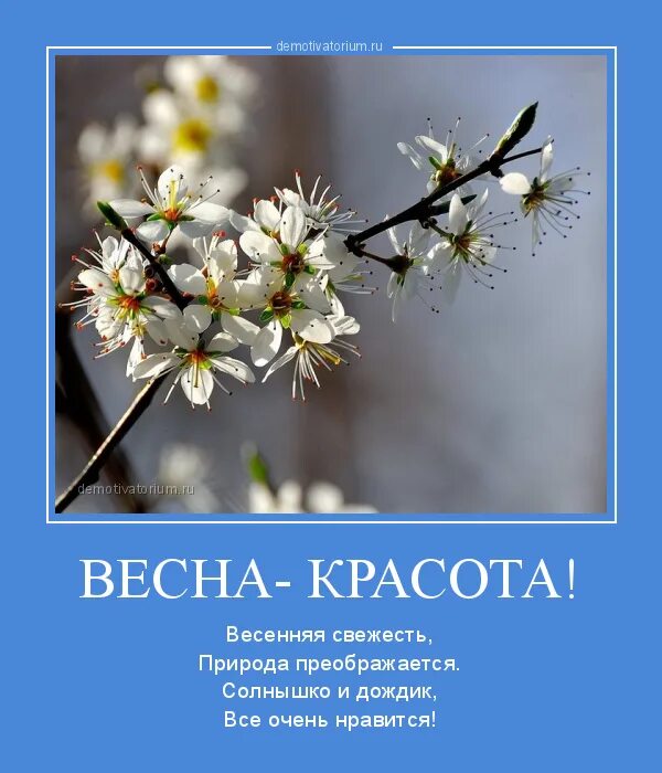 Цитаты про весну и любовь. Высказывания о весне. Фразы про весну. Афоризмы про весну.