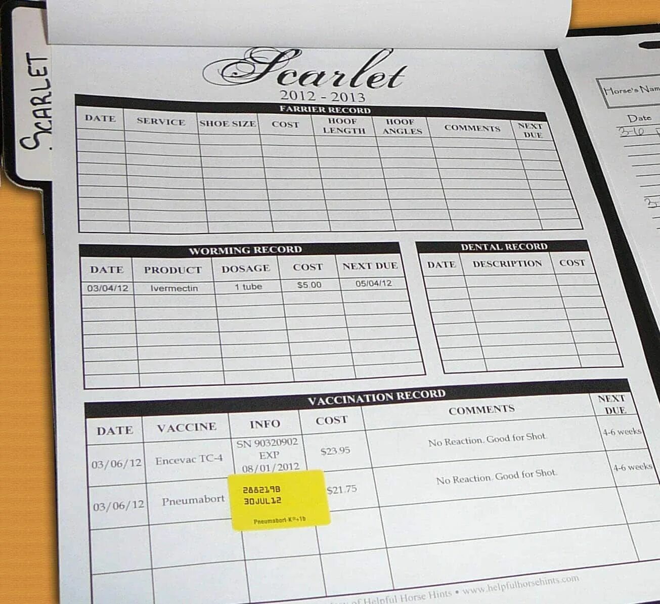 Record form. Vaccination schedule and record. доска рекорд бланк. flight time record form.