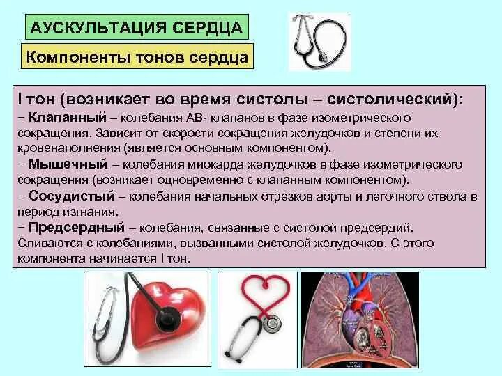 Компоненты i тона сердца