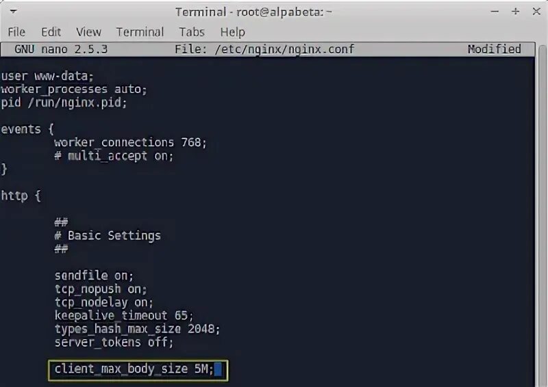 Request entity too large nginx. Request entity too large nginx