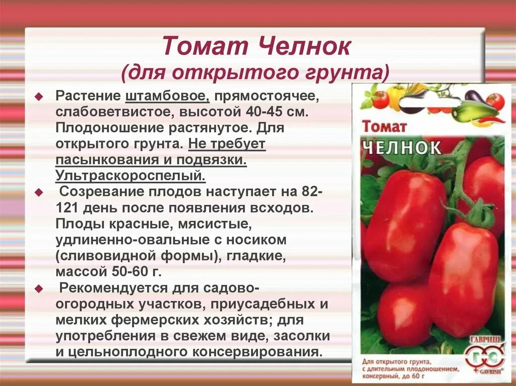 Челнок томаты описание сорта отзывы характеристика фото
