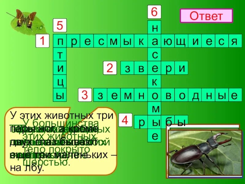 Кроссворд про окружающий мир. Кроссворд на тему животные 2 класс окружающий мир. Кроссворд 2 класс окружающий мир. Кроссворд 2 класс окружающий мир животные. Сканворд 2 класс окружающий мир.