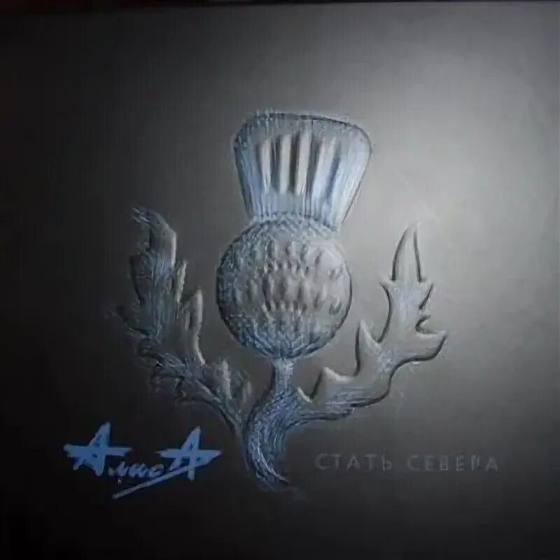 Стать севера альбом. Алиса стать севера 2007. алиса стать севера обложка альбома. стать севера. стать севера обложка.