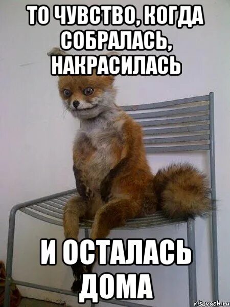 Куда нибудь собираешься
