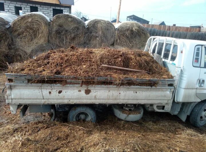 Навоз обл. Навоз коровий (машина 5 м3). навоз коровий (машина 10 м3). навоз в деревне. деревенские в навозе.