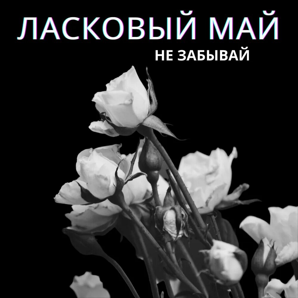 Ласковый май не забывай 2023. Ласковый май не забывай Автор. Обложка трека забывай Mayot. Песня забудь ласковый май