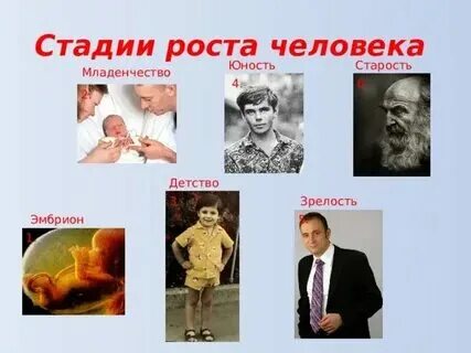 Отрочество юность возрастные периоды. Молодость зрелость старость по годам. Молодость зрелость старость по годам. Детство юность зрелость старость. Детство зрелость старость.