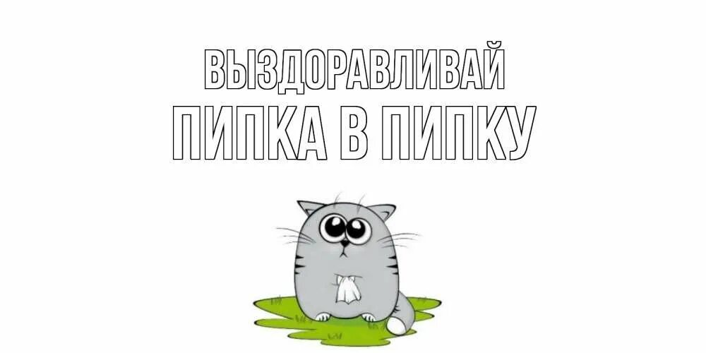 Выздоравливай скорее ошибка