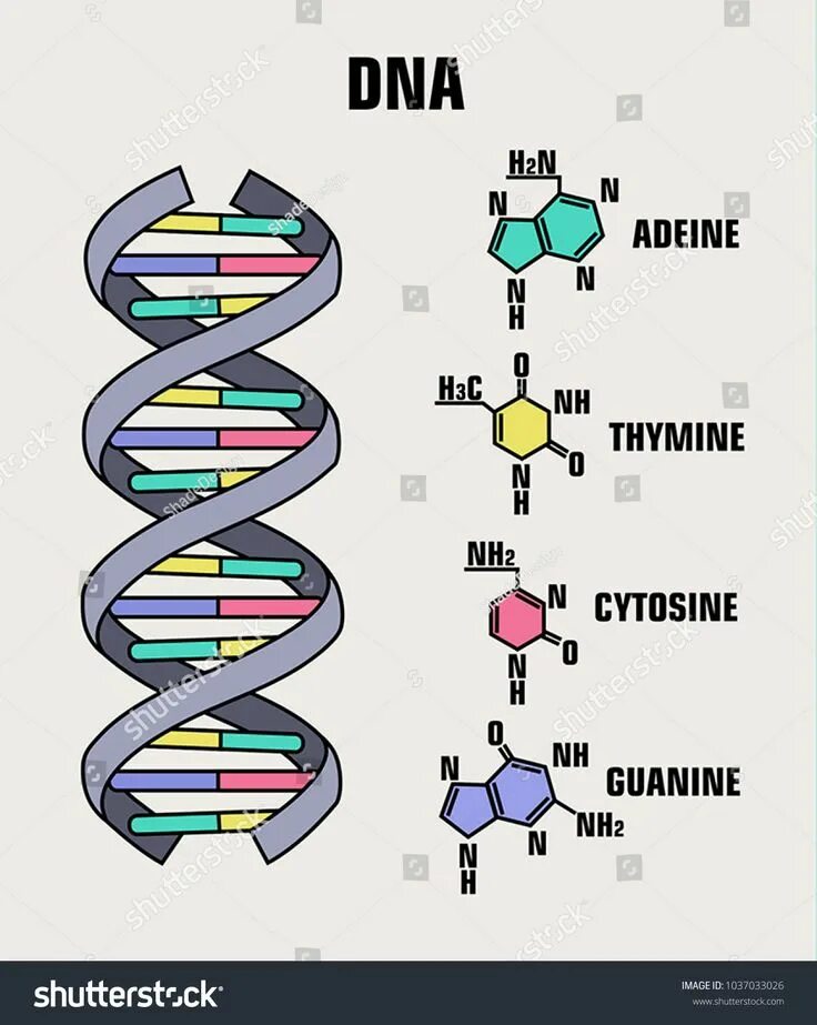 Adn 431