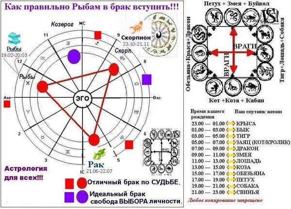 Совместимые знаки зодиака. Гороскоп совместимости по знакам. Взаимоотношение между знаками зодиака. Векторные отношения по знакам зодиака.