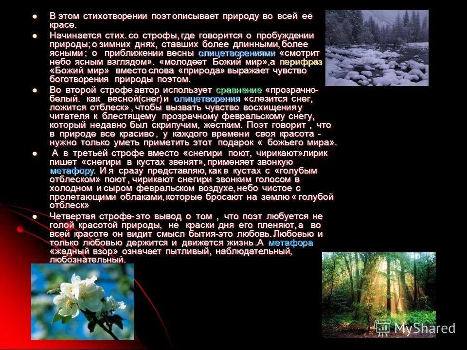 какие приметы пробуждения природы отмечает писатель. рассказ косцы бунин. какие приметы пробуждения природы отмечает писатель. по каким признакам можно узнать весну. какие приметы пробуждения природы отмечает писатель.