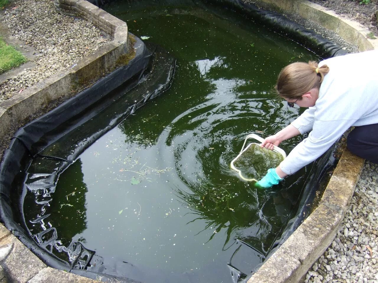 Очистка искусственного водоема. Чистка искусственного пруда. Очистка воды в пруду на даче. Прудик с рыбками. Чистить водоем