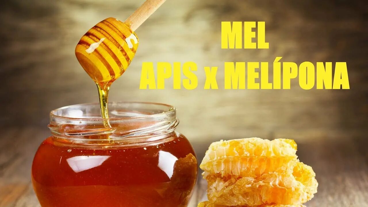 Ешь пей мед. Мед при онкологии. Можно ли мед при онкологии. Ест мед. Мед при онкологии полезен.
