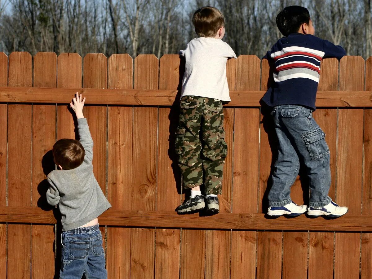 Как подсадить молодую. Дети перелезают через забор. Ребенок заглядывает за забор. Забор для детей.