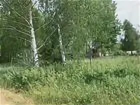 Авито земельные участки снт