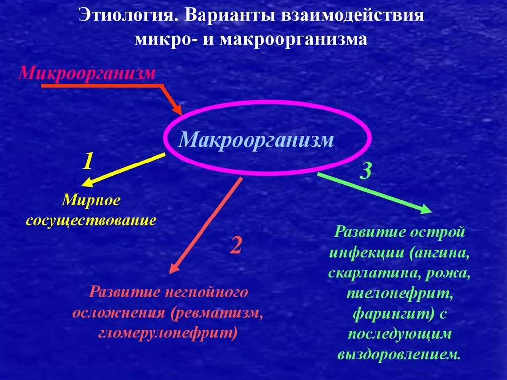 Взаимодействие микро и макроорганизма. Формы взаимодействия микро и макроорганизма. Типы взаимоотношений микро и макроорганизмов. Формы взаимодействия микро и макроорганизма микробиология.