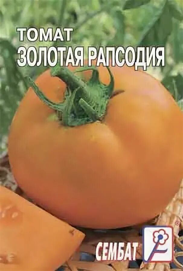 Сибирская грушовка 20шт томат (сиб сад). Растение салат рапсодия. Томат золотая рапсодия характеристика и описание. Томат северная рапсодия. Помидоры северная рапсодия.