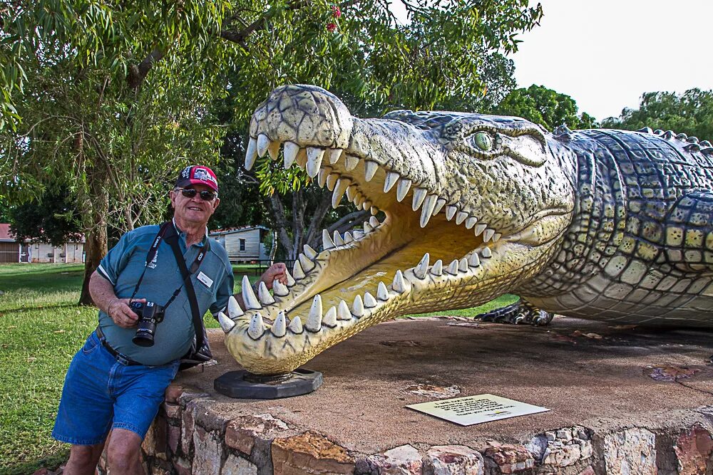 Самый большой аллигатор. Гребнистый крокодил самый большой. Гребнистый крокодил Кассиус. Самый большой Аллигатор в мире. Семиметровый крокодил.