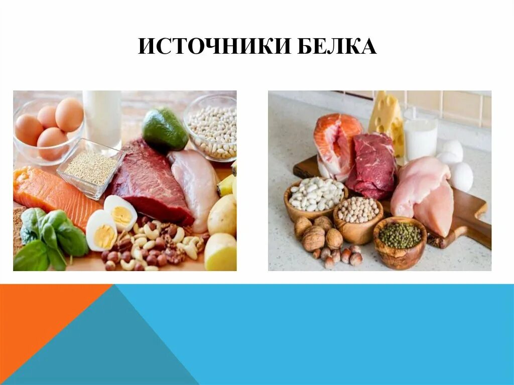 Источник белковых продуктов. Источники белка. Источники белка в продуктах. Белки источники. Лучший источник белка.