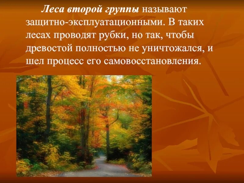 Леса второй категории. Группы лесов. Перечислите группы леса. Леса первой группы. Какие есть группы лесов