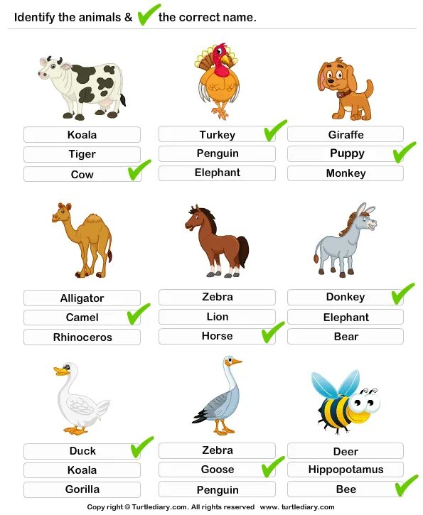 Английский язык 2 класс animals. Животные на английском для детей задания. Животные на английском для детей 1 класс. Английский язык 1 класс задания животные. Задания по английскому про животных.