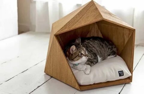 Котики домики для котиков