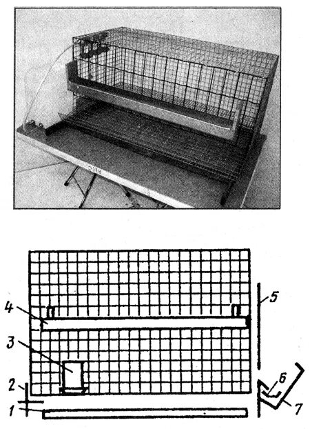 Клетка для перепелов чертежи фото. Чертеж клетка Брудер для перепелов. Брудер для перепелов чертежи. Клетка для перепелов с пометоудалением чертежи. Клетка для перепелов 2 яруса чертеж.