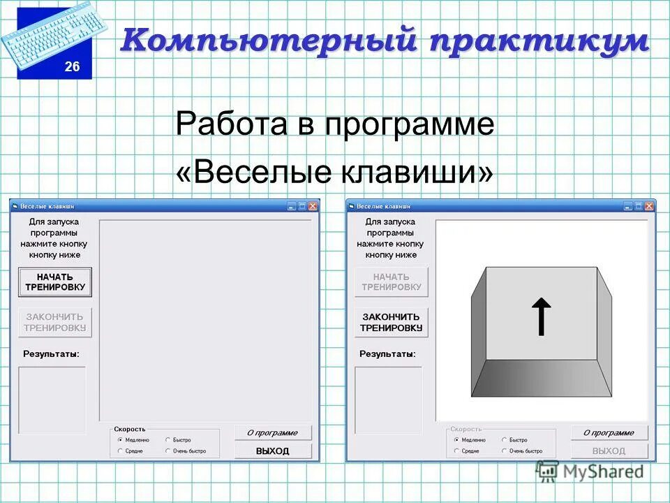 Информатика 5 компьютерный практикум