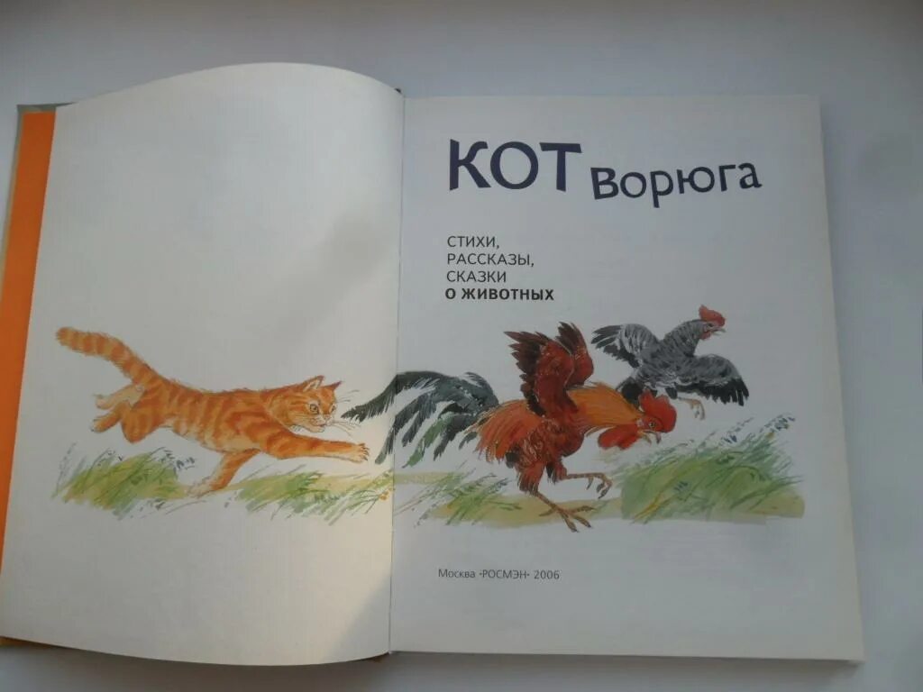 Паустовский к. "кот-ворюга". Сказка кот ворюга Паустовский. Рассказ Паустовского кот ворюга. Сказка кот варюга