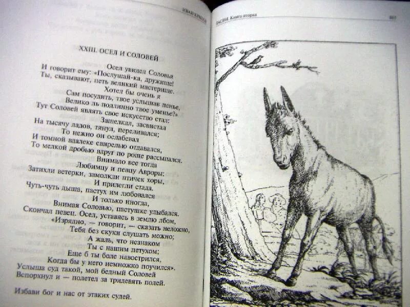 Читать стих соловей. Крылов осел и Соловей текст. Осел и муравей басня Крылова. Крылов Соловей басня. Стихотворение Крылова осёл и Соловей.