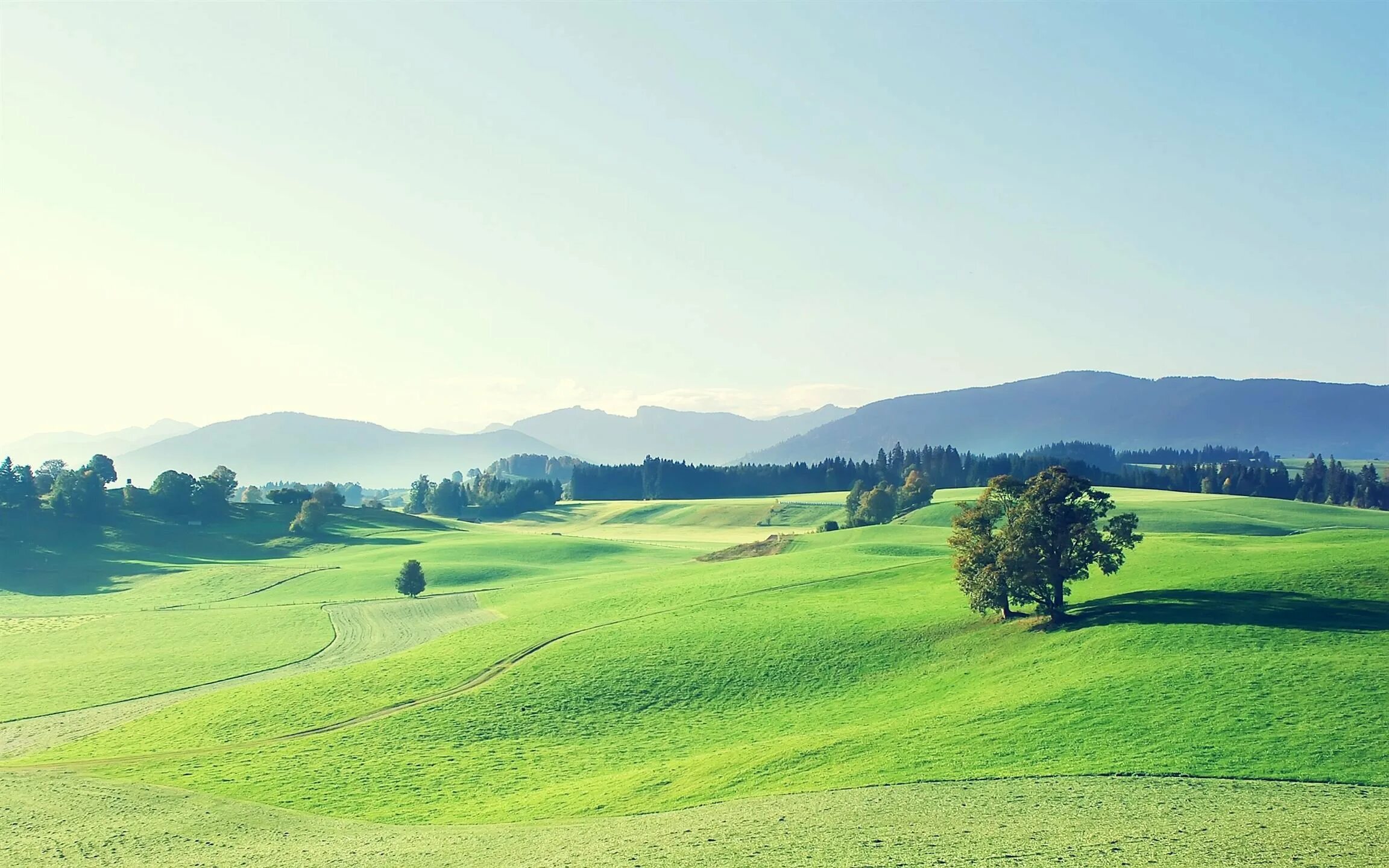 Луг вдали. Green Hills зеленые холмы. Холмистая равнина Тоскана. Природа холмы.